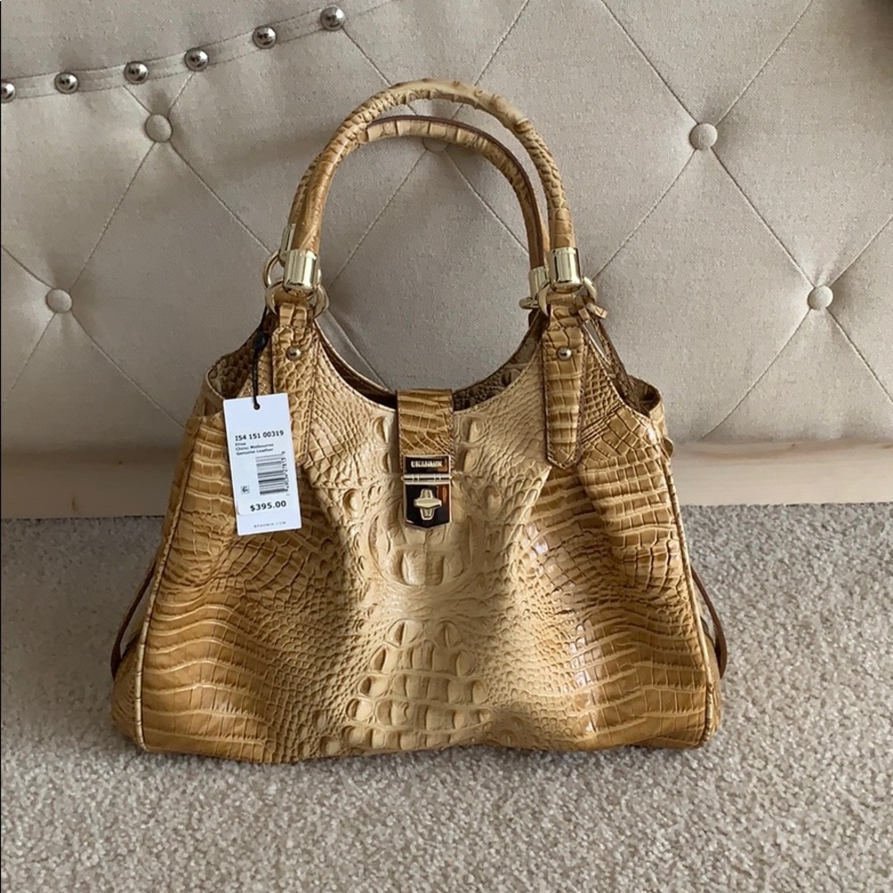 Brahmin Purse